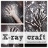 X-ray craft