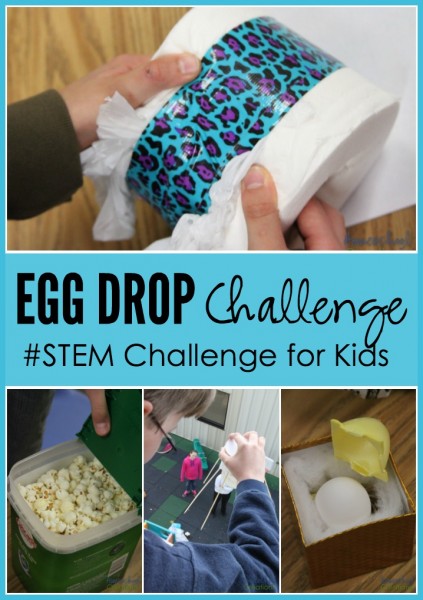 6th grade egg drop challenge