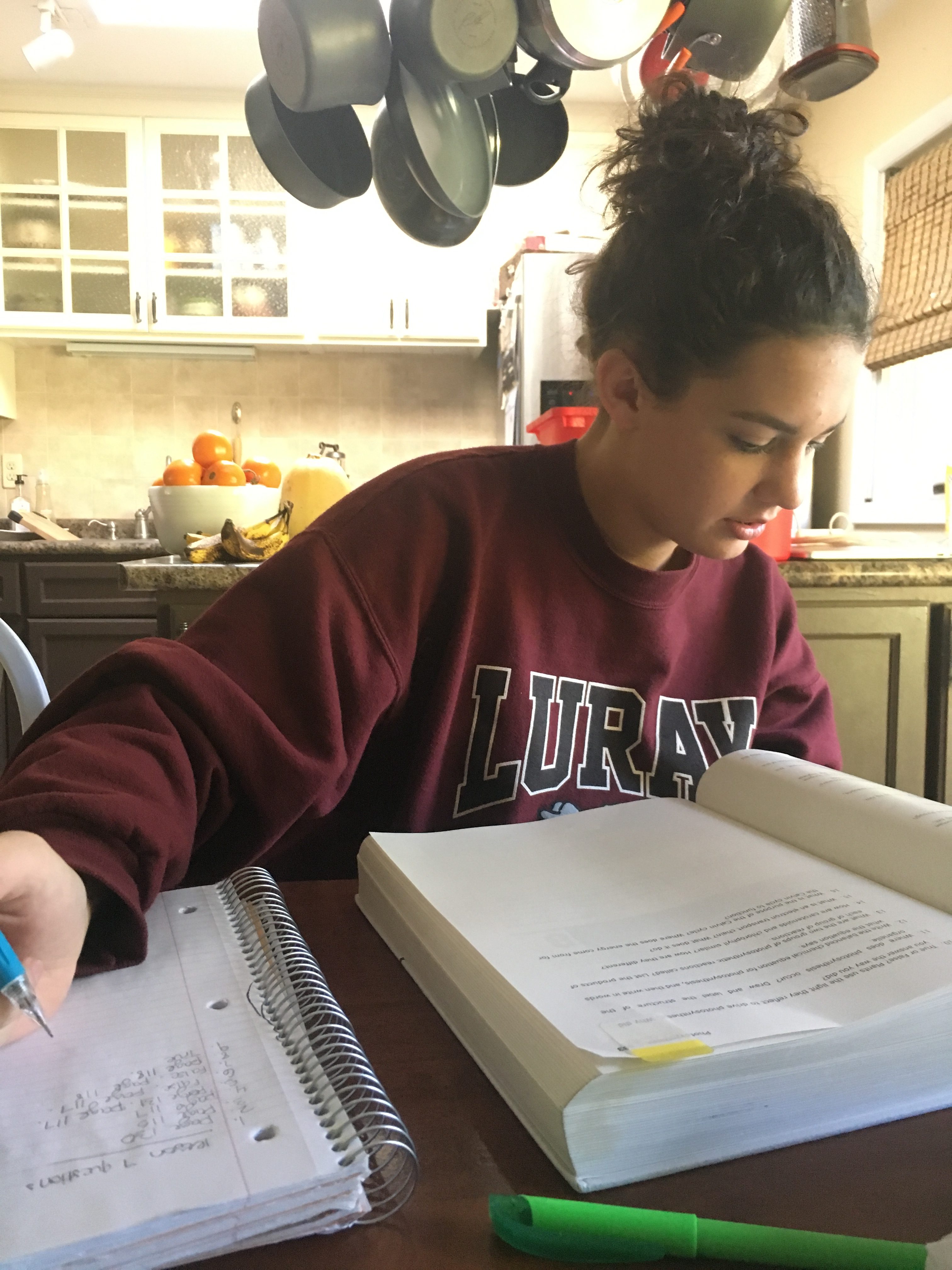 9th-grade-mid-year-homeschool-update