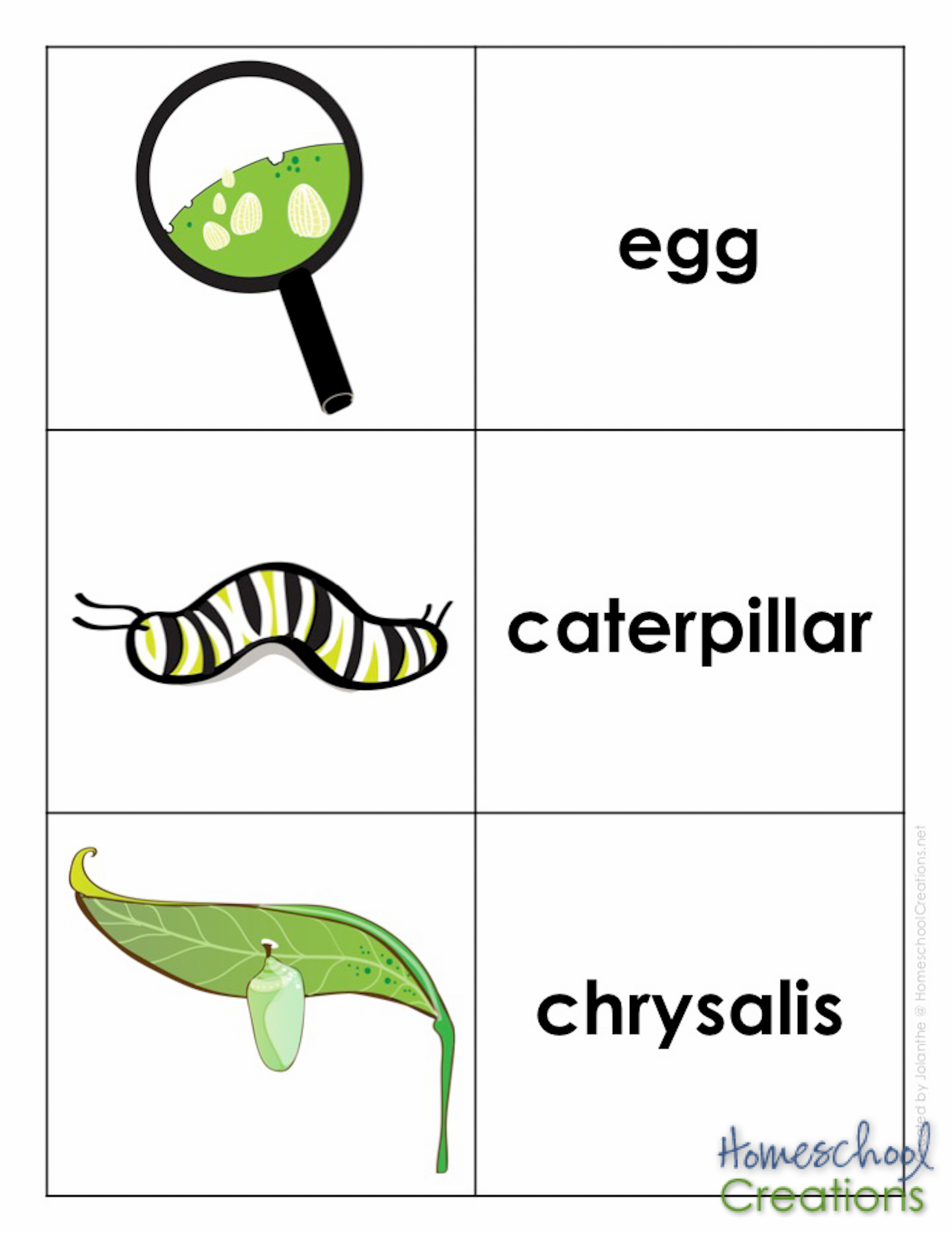 monarch-vocabulary-words-homeschoolcreations