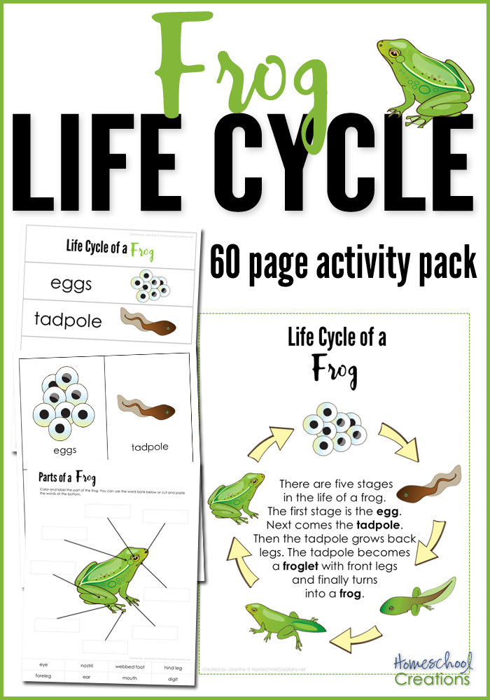 Frog Life Cycle Printables