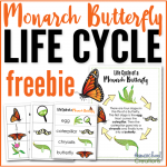 Life Cycle of a Monarch Butterfly - free printables
