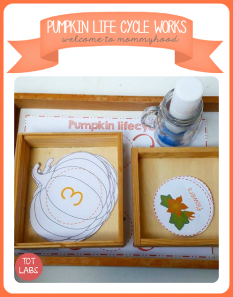 pumpkin-lifecycle-printables