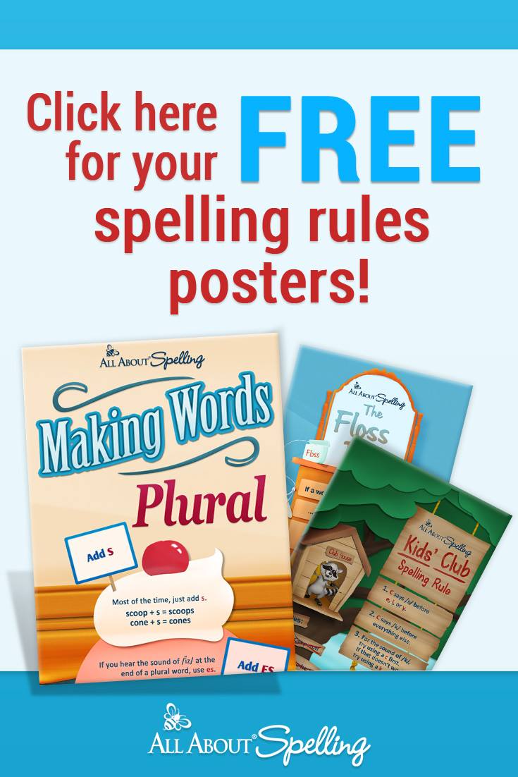 Long Vowels Spelling Rules Poster Set Spelling Rules 